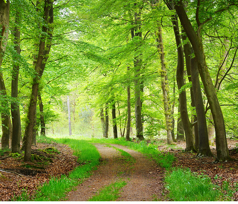 美國?？?_02_02